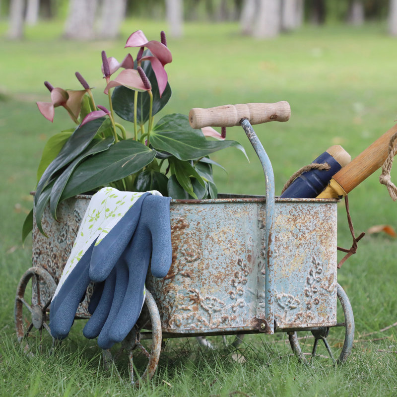 Jardinière vintage en forme de brouette en métal avec poignées en bois (fleurs non comprises)