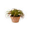 Plante artificielle en pot 8 po