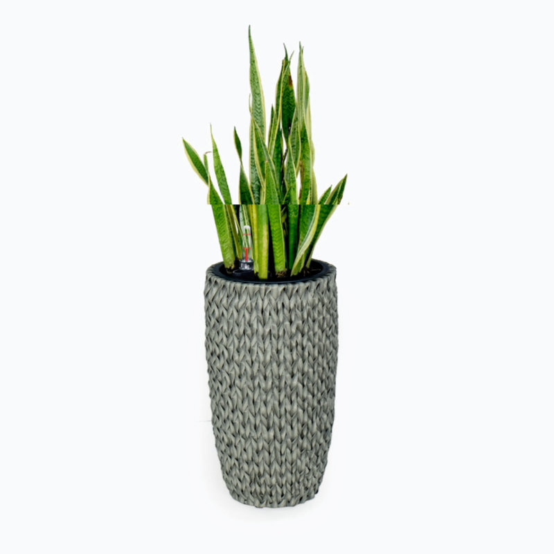 Barmore Pot Planter, Gray, 19.7" H x 10.6" W x 10.6" D