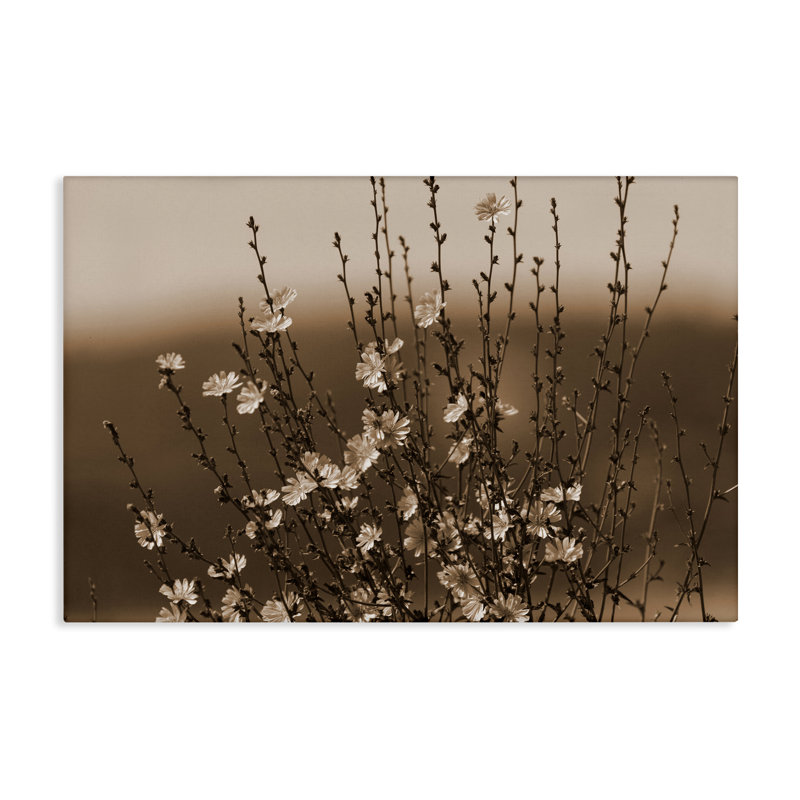  «Tiny Blooming Flowers», art mural sur toile par Nancy Crowell, H 24 po x l 36 po
