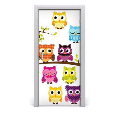 Colorful Owls Door Decal
