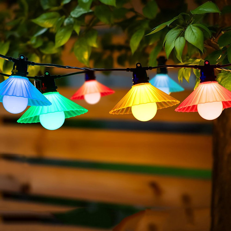 Raegen Outdoor 10 - Bulb 192'' Plug-in String Light, Multicolor