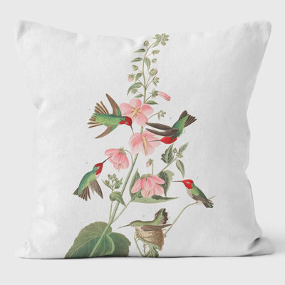 Columbian Humming Birds of America Cushions