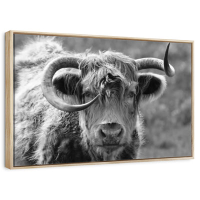 Monochrome Highland Cow