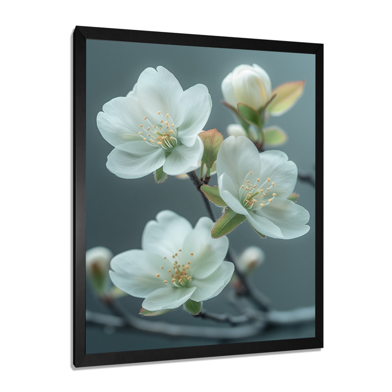 Essence de cerisier blanc blanc I - décoration murale cerisier en fleurs, Toile encadrée noire simple