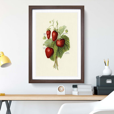 Vintage Illustration of Strawberries - Picture Frame Art Print