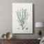 Antique Coastal Coral VII - galerie Cavas sur mesure