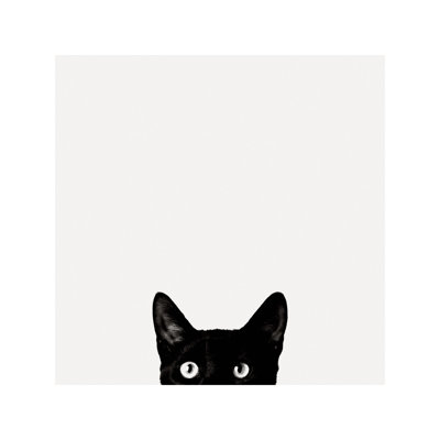 Curiosity 1 Piece Wall Art on Canvas