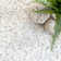 Oguz Power Loom Performance Solid Shag Ivory Rug