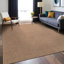 Tapis ivoire Nadene-245886979-256650641