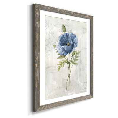 " Blue Linen Poppy " Painting Print