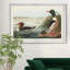 Goosander Duck - reproduction d'art sur toile-363645632-363645647