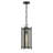 Torven 1-Light Outdoor Hanging Lantern in Matte Black-952167937