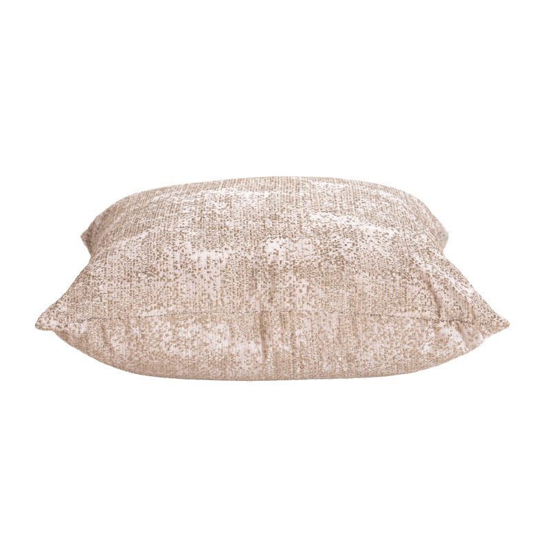 SAND CLAM