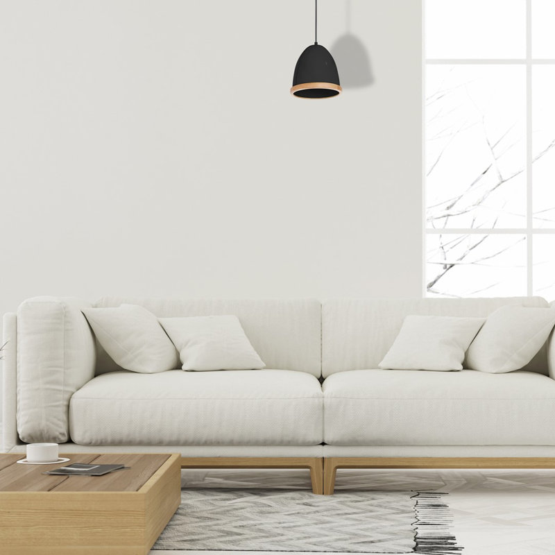 Bridget 1 - Light Dome Pendant, Black, Black