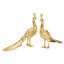 2 Piece Peacock Figurine Set