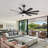 Kiriana 62'' Ceiling Fan with LED Lights