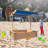 DD Home 45" x 45" Solid Wood Square Sandbox with Cover