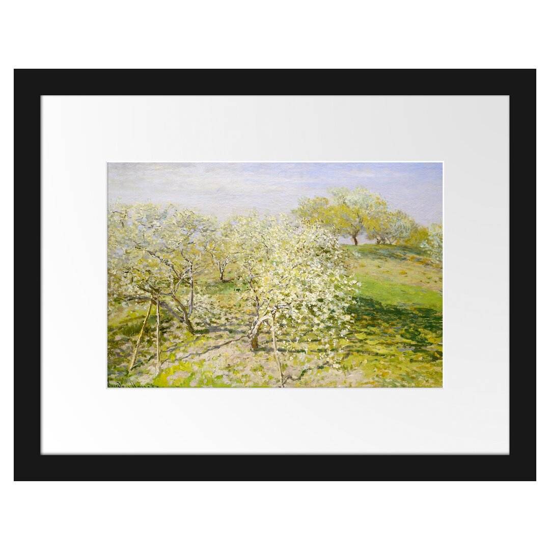 Gerahmter Kunstdruck Spring Apple Trees in Bloom von Claude Monet