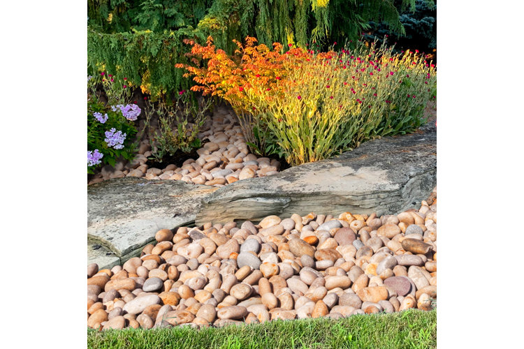Gravel and landscaping pebbles covering garden beds with drought-tolerant plants in a xeriscape yard.