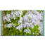 Bunny Williams: Life in the Garden Leather Bound Book