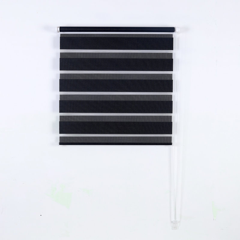 Day & Night Zebra Blinds, Dual Layer Roller Shades for Blackout, Light Control & Privacy, Black, 64cm W x 165cm L