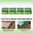 Low Design Mini Greenhouse,Spacious Greenhouse