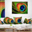 Coussin de photographie à plumes peacock-30728092-30728088