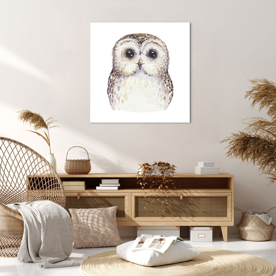 Leinwandbild Owl Tawny Owl