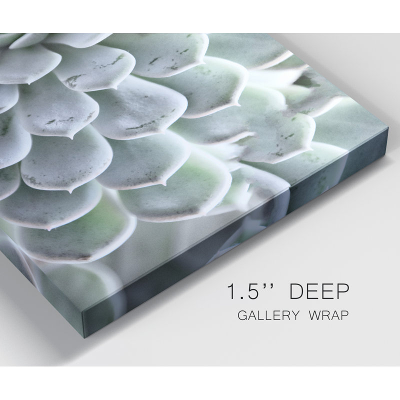 Zen Succulent IV - reproduction de photo sur toile tendue, H 48 po x l 32 po x P 1 po