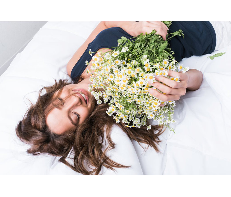 Twin Ultra-Low Profile Waterproof Mattress Encasement