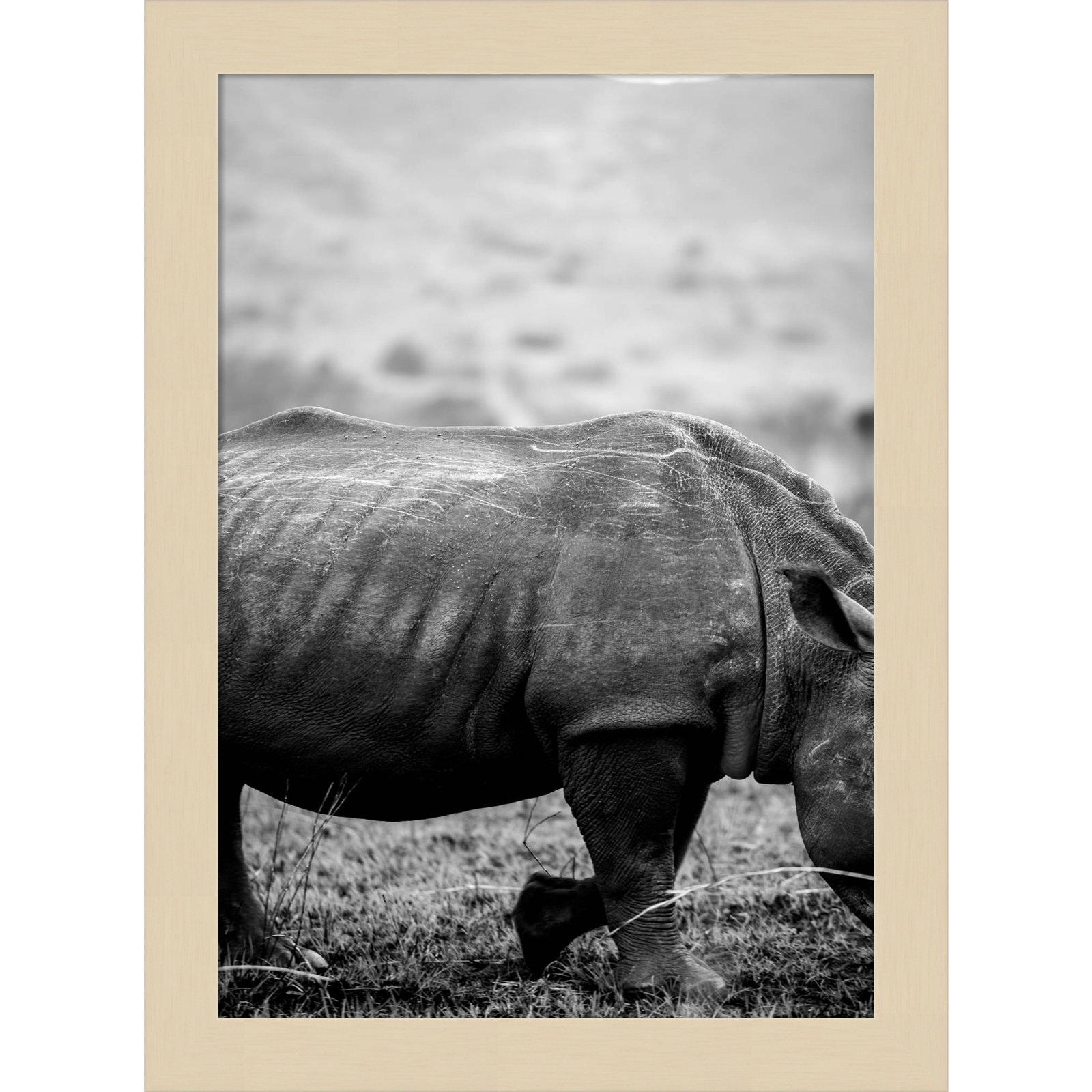 Pepperidge "Black Rhino" Print, Brown, 13" H x 10" W