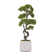 55.57'' Faux Bonsai Tree in Planter