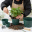 Paquet de 16 pots de pépinière 4/6/8/10 pour plantes, pots de plantes en plastique épaissis avec trous de drainage - vert