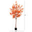 Arbre d'automne-1230477470
