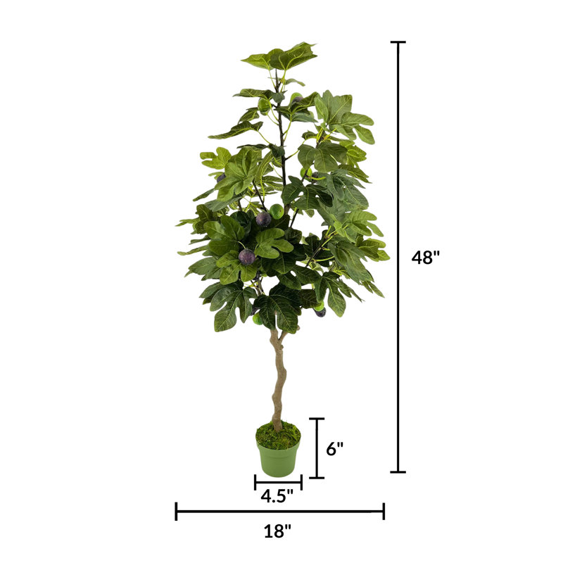 Arbre à fruits en pot vert 48 po