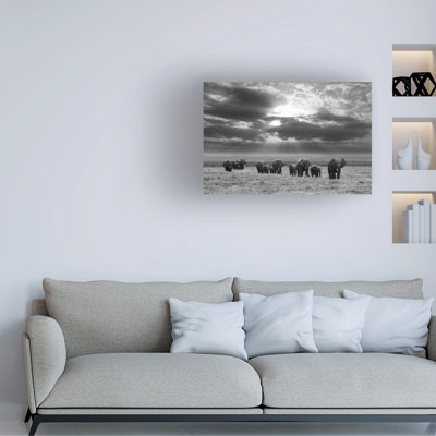 Art sur toile Jorge Llovet