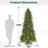 Pre-Lit Slim Green Spruce Christmas Tree-1797512711