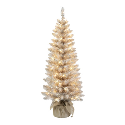Hachman Lighted Pine Christmas Tree