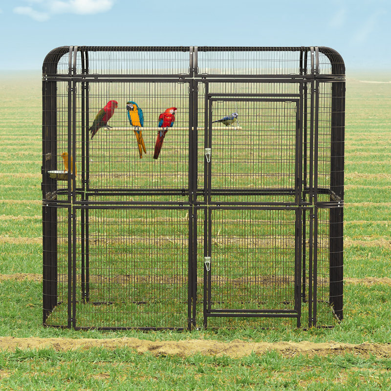 Cage à oiseau Corwynn, Noir