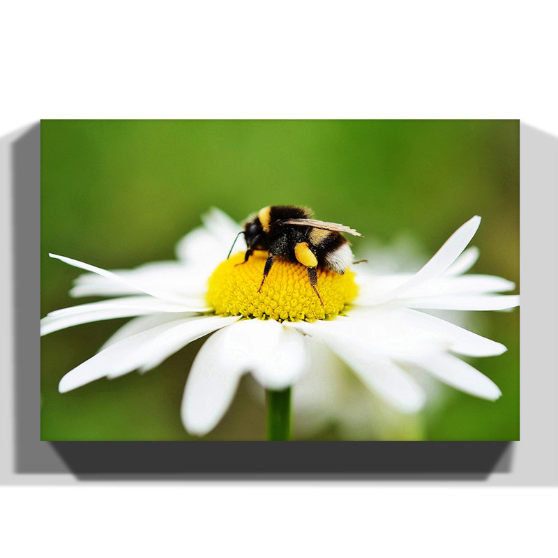 Wrapped Canvas Print, 70cm H x 100cm W