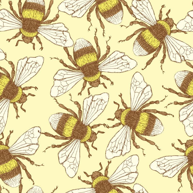 Olsburg Bumble Bee In Vintage Style - Wrapped Canvas Print, 51cm H x 51cm W x 3.8cm D