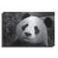 «Giant Panda» par SD Smart, art mural en métal-573879819
