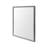 Aariah Mirror-1466502307-1466502302