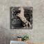 «Horse Reward II» par Irena Orlov, art mural sur toile, 26 po x 26 po-363599894