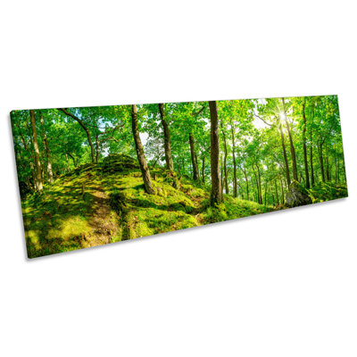 X3450 Green Forest Sunshine Landscape - Wrapped Canvas Panoramic Print