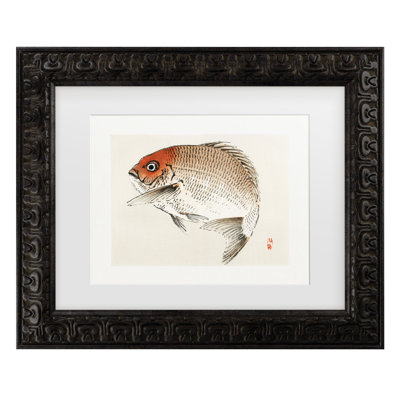 Bolog Kono Bairei Tai Fish Matted Framed Art