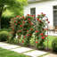 Garden Trellis, 71 x 20 inch Rose Trellis, Garden Flower Rose Trellises with Powder-Coated Finish & Convenient Locking Design, Plant Support Trellises for Flowers, Vegetables, Roses-1542545441