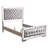 Philip Standard Bed-246852402-246852404