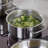 Fissler Pure Collection Rondeau with Glass Lid-95034262